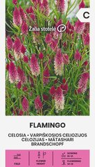 ЦЕЛОЗИЯ FLAMINGO 0,3 Г цена и информация | Семена цветов | pigu.lt