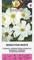 КОСМЕЯ ОБЫКНОВЕННАЯ SENSATION WHITE 1 Г цена и информация | Семена цветов | pigu.lt