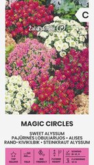 БУРАЧОК MAGIC CIRCLES 1 Г цена и информация | Семена цветов | pigu.lt