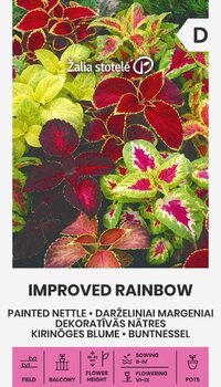 DARŽELINIAI MARGENIAI IMPROVED RAINBOW 0,1 G kaina ir informacija | Gėlių sėklos | pigu.lt