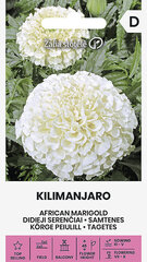БАРХАТЦЫ ПРЯМОСТОЯЧИЕ KILIMANJARO 0,2 Г цена и информация | Семена цветов | pigu.lt
