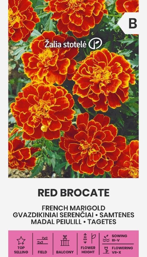 GVAZDIKINIAI SERENČIAI RED BROCATE 1 G kaina ir informacija | Gėlių sėklos | pigu.lt