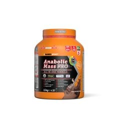 Namedsport Anabolic Mass Pro 1.6 kg kaina ir informacija | Aminorūgštys | pigu.lt