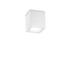 Lubinis šviestuvas Techo PL1 Small Bianco kaina ir informacija | Lubiniai šviestuvai | pigu.lt