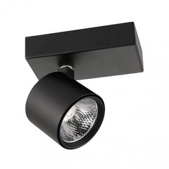 Lubinis šviestuvas SPL-2854-1B-BL kaina ir informacija | Lubiniai šviestuvai | pigu.lt