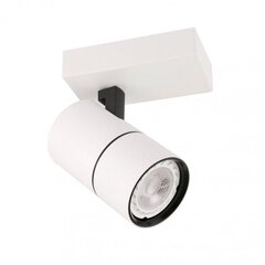 Люстра SPL-2813-1B-WH цена и информация | Потолочные светильники | pigu.lt