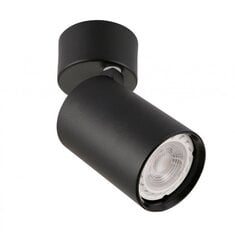 Люстра SPL-2846-1SC-BL цена и информация | Потолочные светильники | pigu.lt