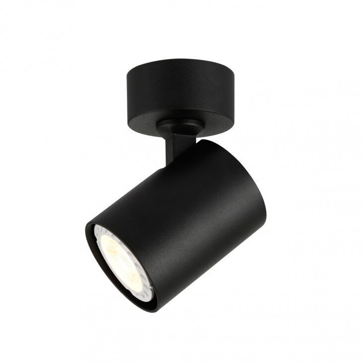 Lubinis šviestuvas SPL-2071-1-MC-BL kaina ir informacija | Lubiniai šviestuvai | pigu.lt