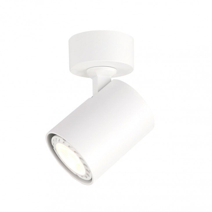 Lubinis šviestuvas SPL-2071-1-MC-WH kaina ir informacija | Lubiniai šviestuvai | pigu.lt