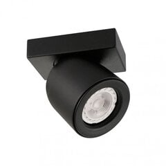 Lubinis šviestuvas SPL-2855-1B-BL kaina ir informacija | Lubiniai šviestuvai | pigu.lt