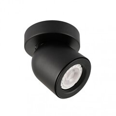 Lubinis šviestuvas SPL-2855-1C-BL kaina ir informacija | Lubiniai šviestuvai | pigu.lt