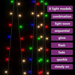 LED lempučių užuolaida, 3x3 m цена и информация | Рождественские украшения | pigu.lt