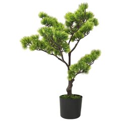 Dirbtinis Bonsai su vazonu, 60 cm kaina ir informacija | Dirbtinės gėlės | pigu.lt