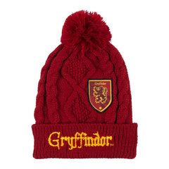Детская шапка Harry Potter цена и информация | Шапки, перчатки, шарфы для мальчиков | pigu.lt
