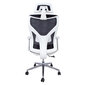 Biuro kėdė Home4You Venon, juoda/balta kaina ir informacija | Biuro kėdės | pigu.lt