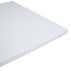 Столешница ERGO 140x80 см, серо-белая цена и информация | Столешницы | pigu.lt