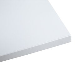 Столешница ERGO 160x80 см, серо-белая цена и информация | Столешницы | pigu.lt