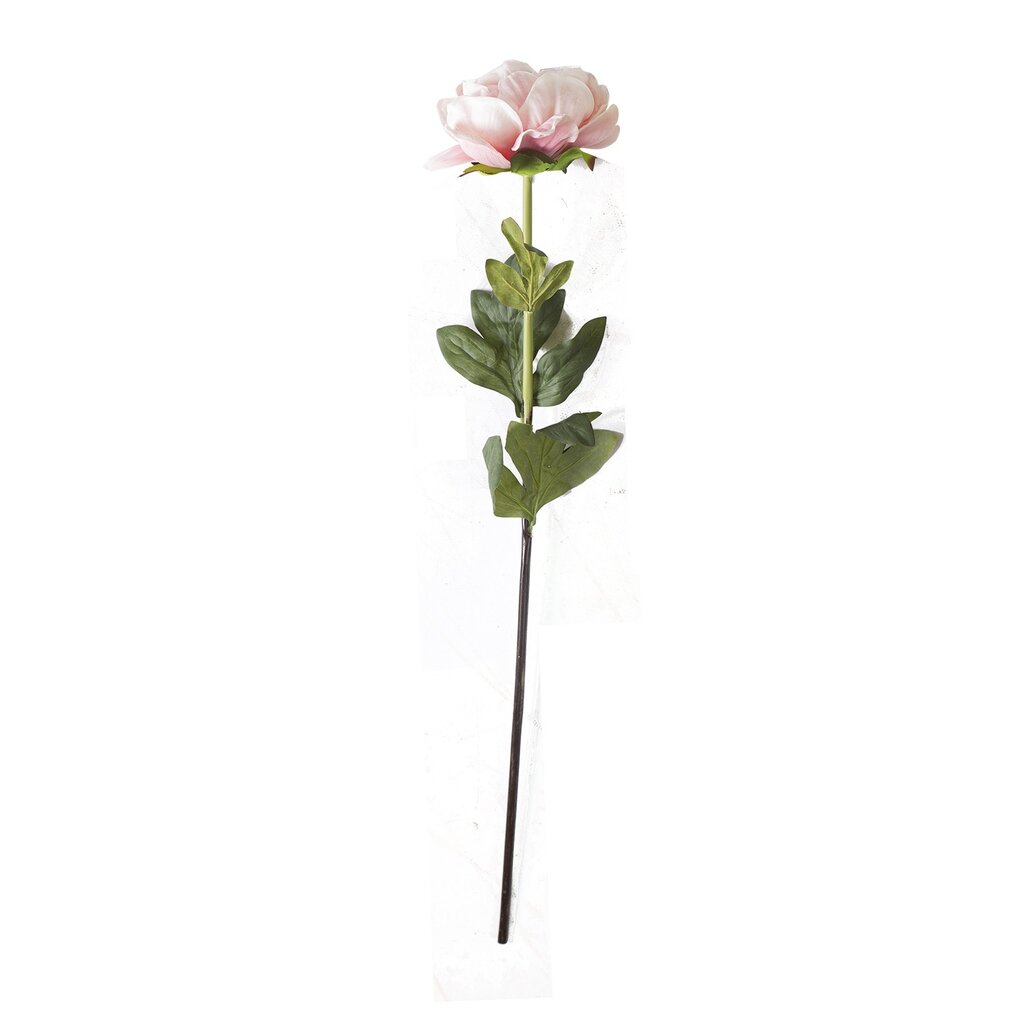 Bijūnas IN GARDEN, H74cm, rožinis цена и информация | Dirbtinės gėlės | pigu.lt