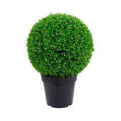 Зеленое растение BOXWOOD, H60см, черный горшок цена и информация | Искусственные цветы | pigu.lt