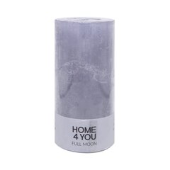 Свеча FULL MOON, D6.8xH14см, светло-серая (аромат - Черная смородина) цена и информация | Подсвечники, свечи | pigu.lt