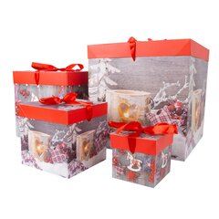 Подарочная коробка XMAS GIFT-1, 10x10x10см, микс цена и информация | Рождественское украшение CA1031, 10 см | pigu.lt