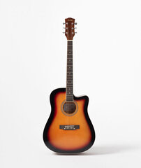 Акустическая гитара 4/4 Alamo AC-30 цена и информация | Гитары | pigu.lt