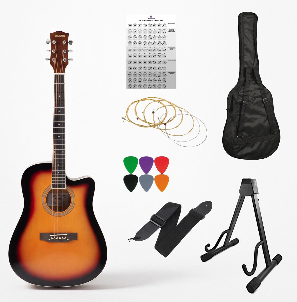 Akustinė gitara 4/4 Alamo AC-30 kaina ir informacija | Gitaros | pigu.lt