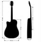 Akustinė gitara 4/4 Alamo AC-30 цена и информация | Gitaros | pigu.lt