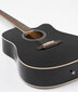 Akustinė gitara 4/4 Alamo AC-30 kaina ir informacija | Gitaros | pigu.lt