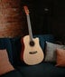 Akustinė gitara 4/4 Alamo AC-30 цена и информация | Gitaros | pigu.lt