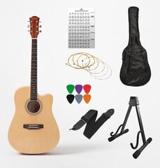 Akustinė gitara 4/4 Alamo AC-30 kaina ir informacija | Gitaros | pigu.lt