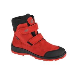 Детские походные ботинки 4F Trek Jr.HJZ21-JOBMW250-62S цена и информация | 4F Обувь для детей и младенцев | pigu.lt