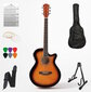 Elektrinės akustinės gitaros rinkinys Alamo AC-40 цена и информация | Gitaros | pigu.lt