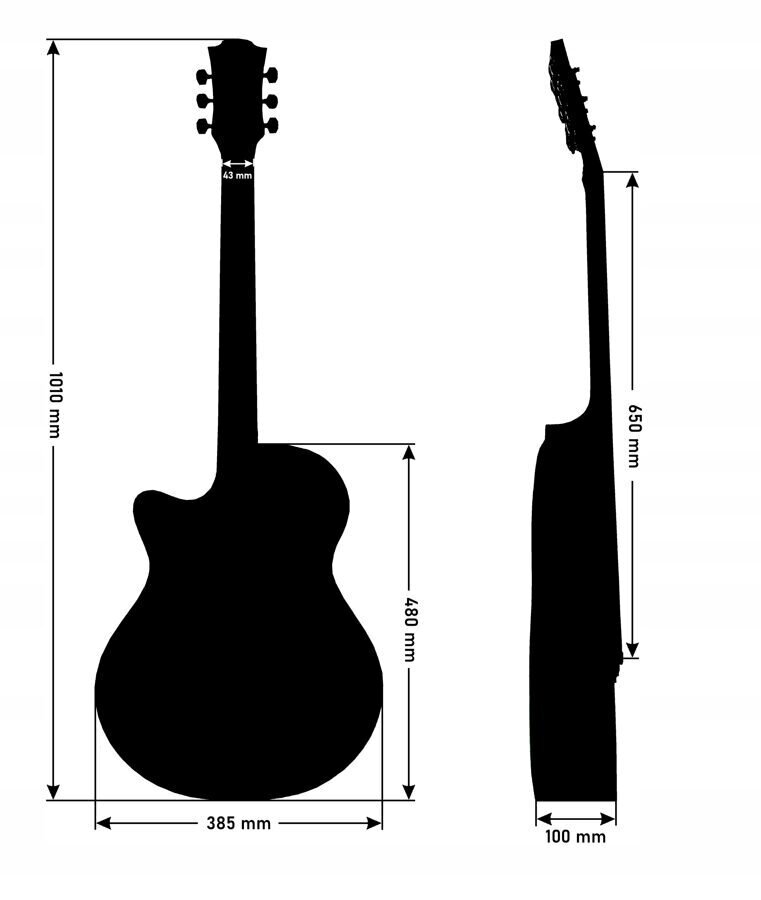 Elektrinės akustinės gitaros rinkinys Alamo AC-40 kaina ir informacija | Gitaros | pigu.lt