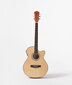 Elektrinės akustinės gitaros komplektas Alamo AC-40 цена и информация | Gitaros | pigu.lt