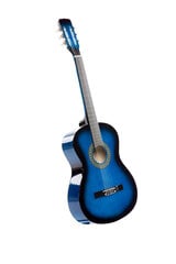 Klasikinės gitaros rinkinys C-20 kaina ir informacija | Gitaros | pigu.lt