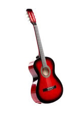 Klasikinės gitaros rinkinys C-20 kaina ir informacija | Gitaros | pigu.lt