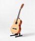 Klasikinės gitaros komplektas Alamo CL-60 kaina ir informacija | Gitaros | pigu.lt