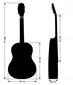 Klasikinės gitaros komplektas Alamo CL-60 kaina ir informacija | Gitaros | pigu.lt