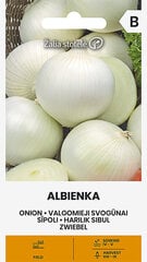 Лук Albienka, 1 г цена и информация | Семена овощей, ягод | pigu.lt