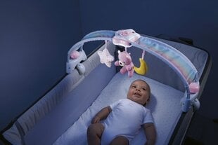 Дуга на кроватку Радуга Chicco, розовая цена и информация | Игрушки для малышей | pigu.lt