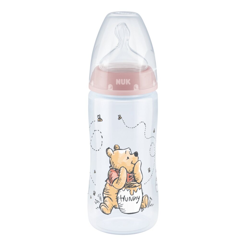 Buteliukas Nuk Winnie The Pooh, 0-6 mėn, 300 ml kaina ir informacija | Buteliukai kūdikiams ir jų priedai | pigu.lt