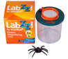 Vabzdžių gaudyklė Levenhuk LabZZ C1 kaina ir informacija | Lavinamieji žaislai | pigu.lt