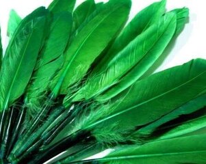 Утиные перья, зеленый цвет, 20 шт. цена и информация | Аппликации, декорации, наклейки | pigu.lt