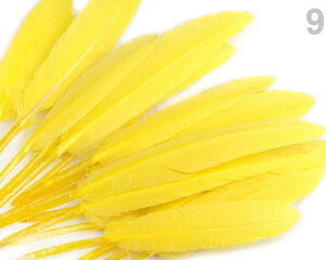 Утиные перья, жёлтый цвет, 20 шт цена и информация | Аппликации, декорации, наклейки | pigu.lt