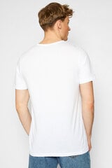 Marškinėliai vyrams Lee L60ZFERR kaina ir informacija | Vyriški marškinėliai | pigu.lt