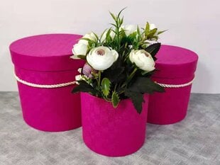 Коробочка для цветов, 3 части, розовая цена и информация | Принадлежности для флористики | pigu.lt