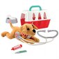 Ecoiffier veterinarinis rinkinys su šuneliu kaina ir informacija | Žaislai mergaitėms | pigu.lt