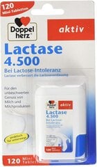 Maisto papildas Doppelherz Aktiv Lactase 4.500, 120 tablečių цена и информация | Витамины, пищевые добавки, препараты для хорошего самочувствия | pigu.lt