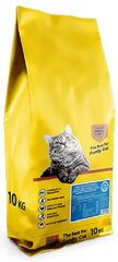 Family Cat Anti-Hairball Adult 10kg pašaras suaugusioms katėms kaina ir informacija | Sausas maistas katėms | pigu.lt